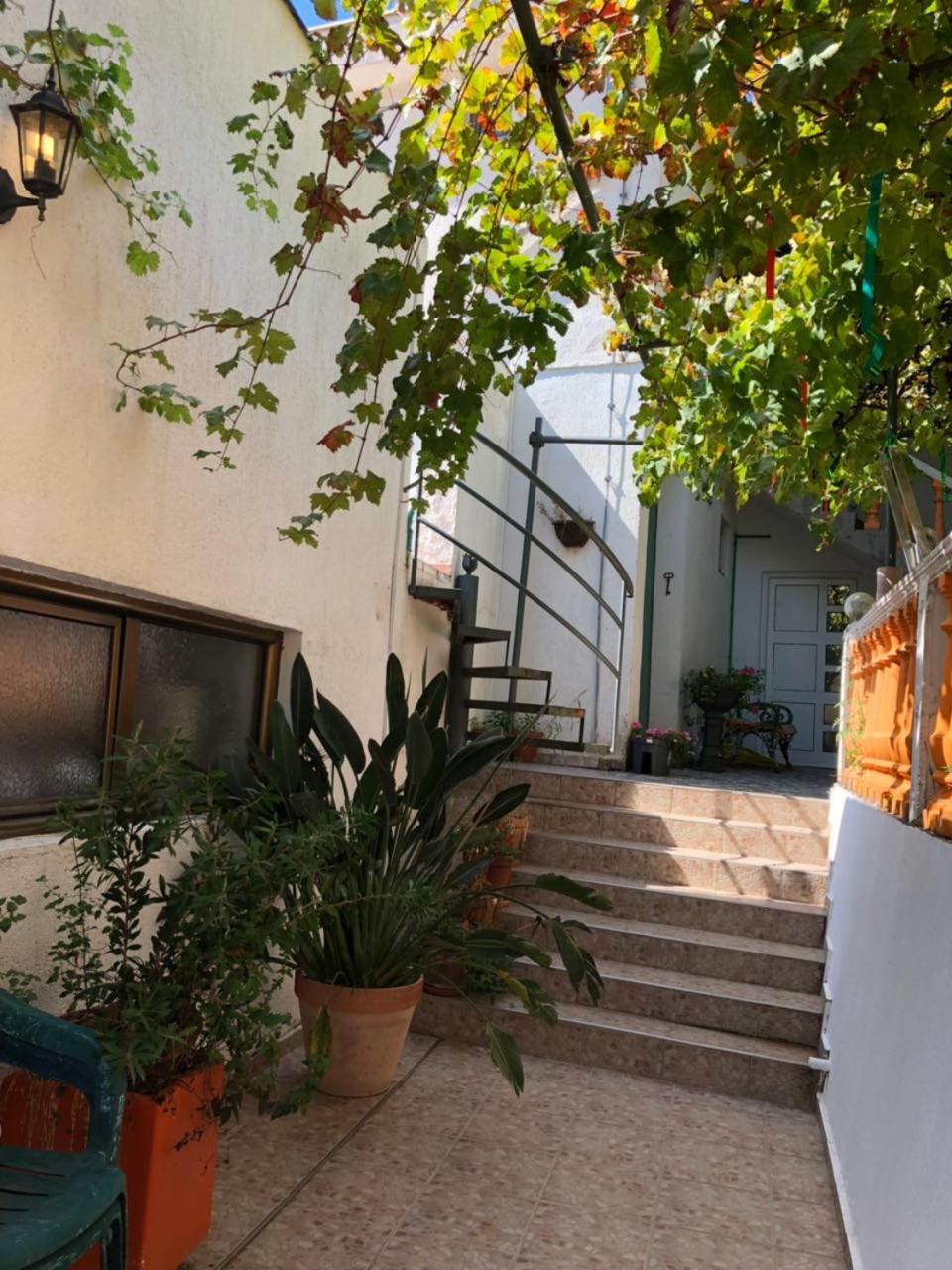 Guest House Cvoro Herceg Novi Esterno foto